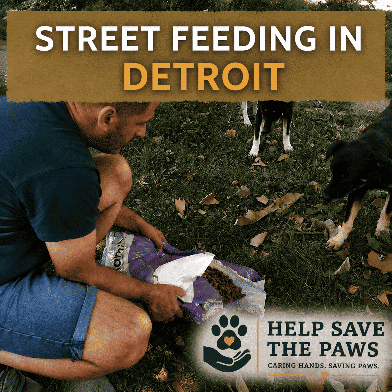 Street Feeding in Detroit
