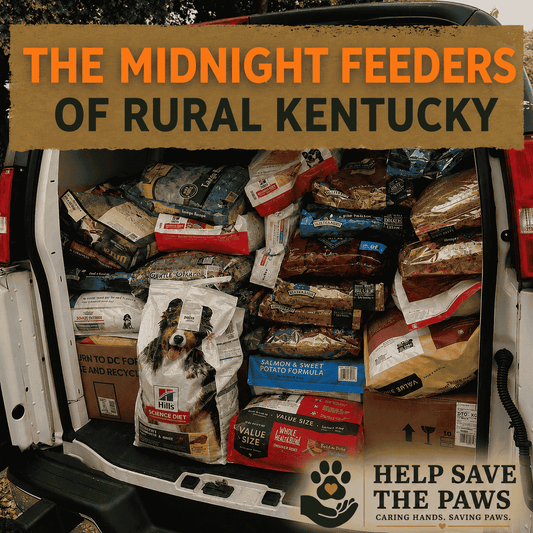 The Midnight Feeders of Rural Kentucky