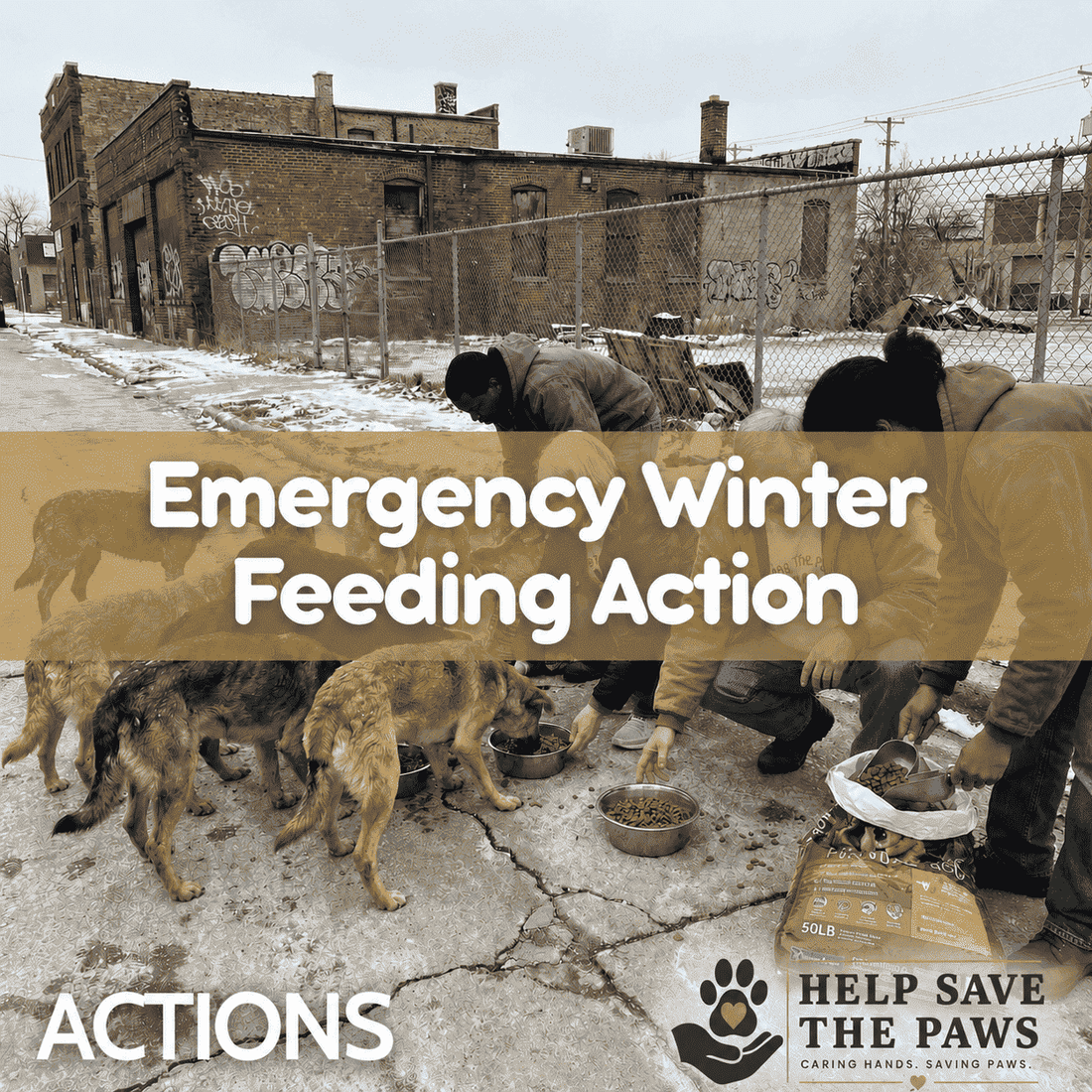 Emergency Winter Feeding Action