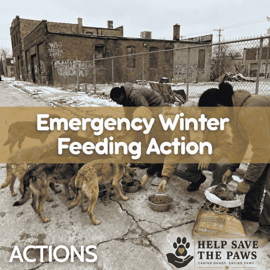 Emergency Winter Feeding Action