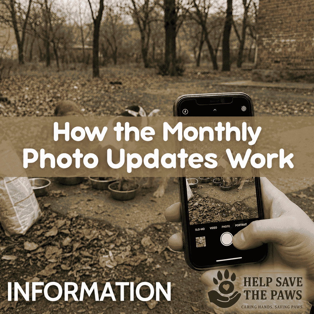 How the Monthly Photo Updates Work