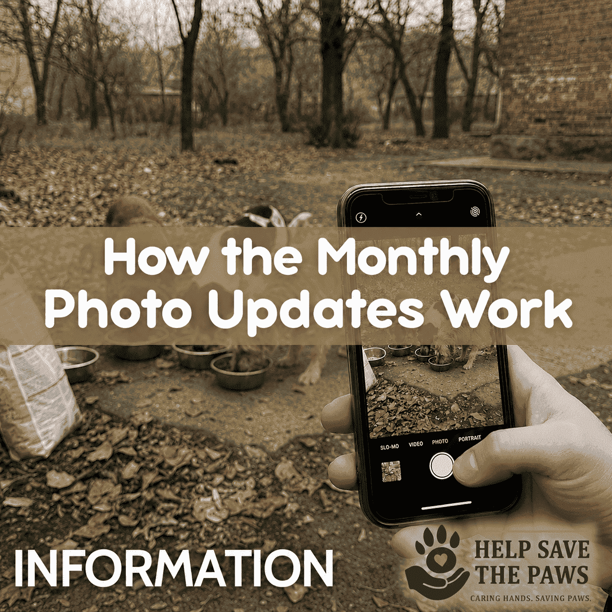 How the Monthly Photo Updates Work