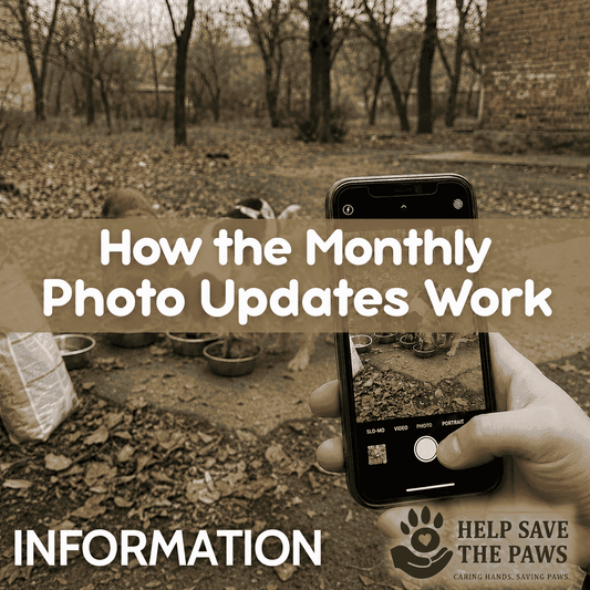 How the Monthly Photo Updates Work