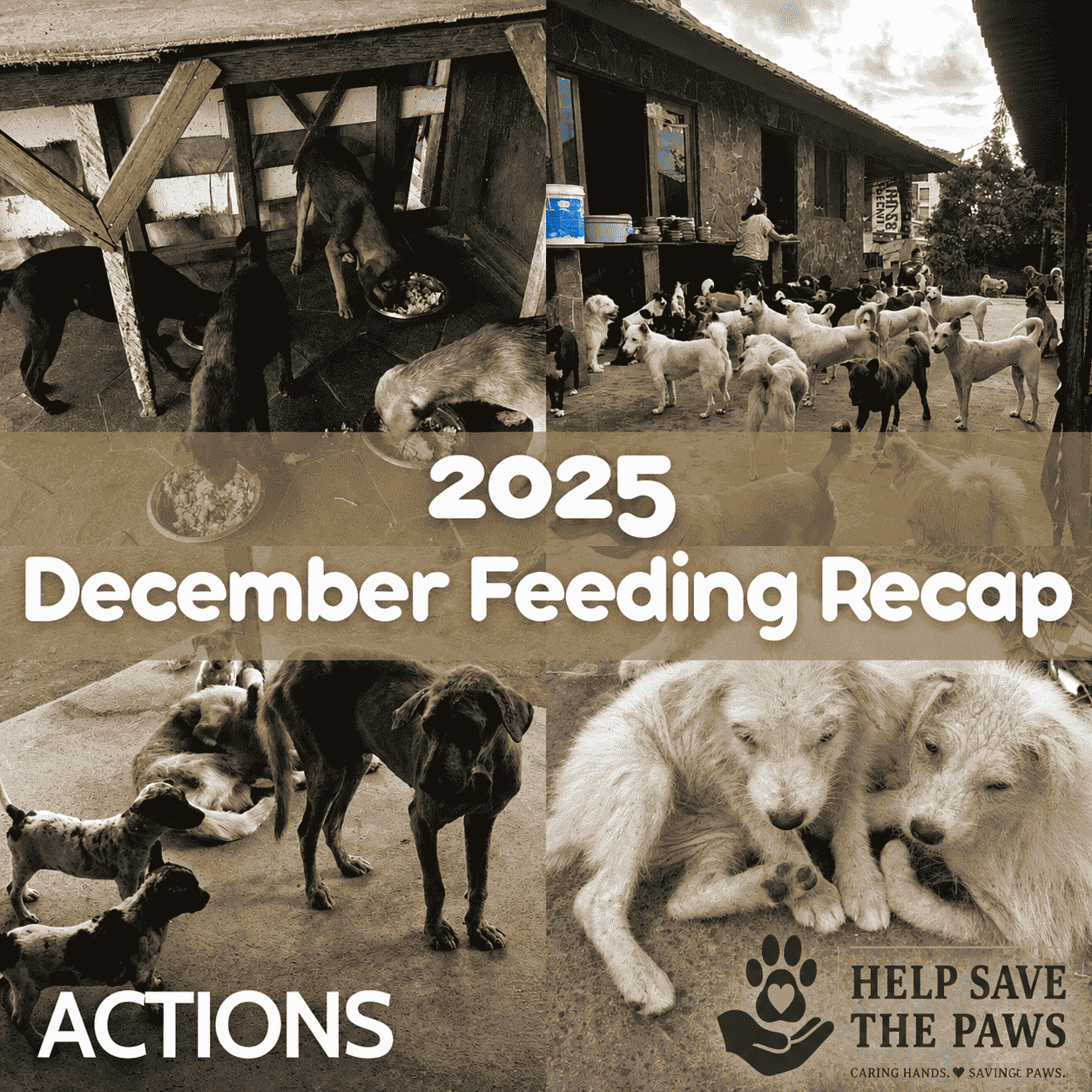 December 2025 Feeding Recap