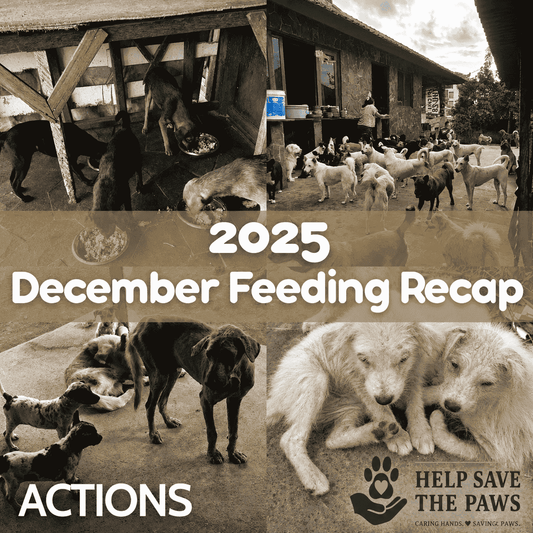 December 2025 Feeding Recap