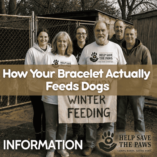 How Your Bracelet Actually Feeds Dogs