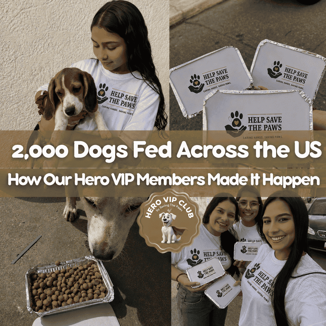 2,000 Dogs Fed Across the US: How Our Hero VIP Members Made It Happen