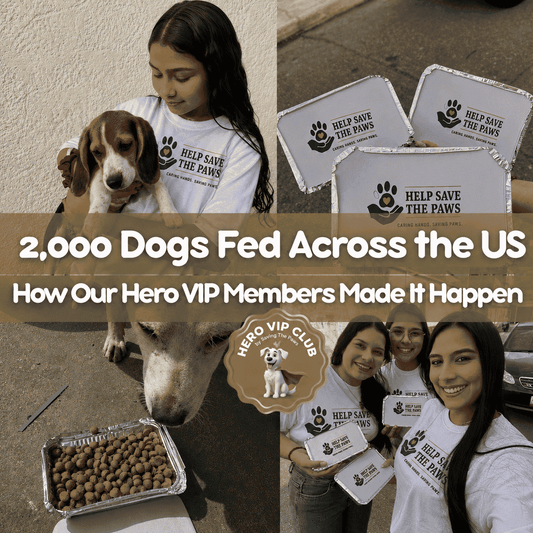 2,000 Dogs Fed Across the US: How Our Hero VIP Members Made It Happen