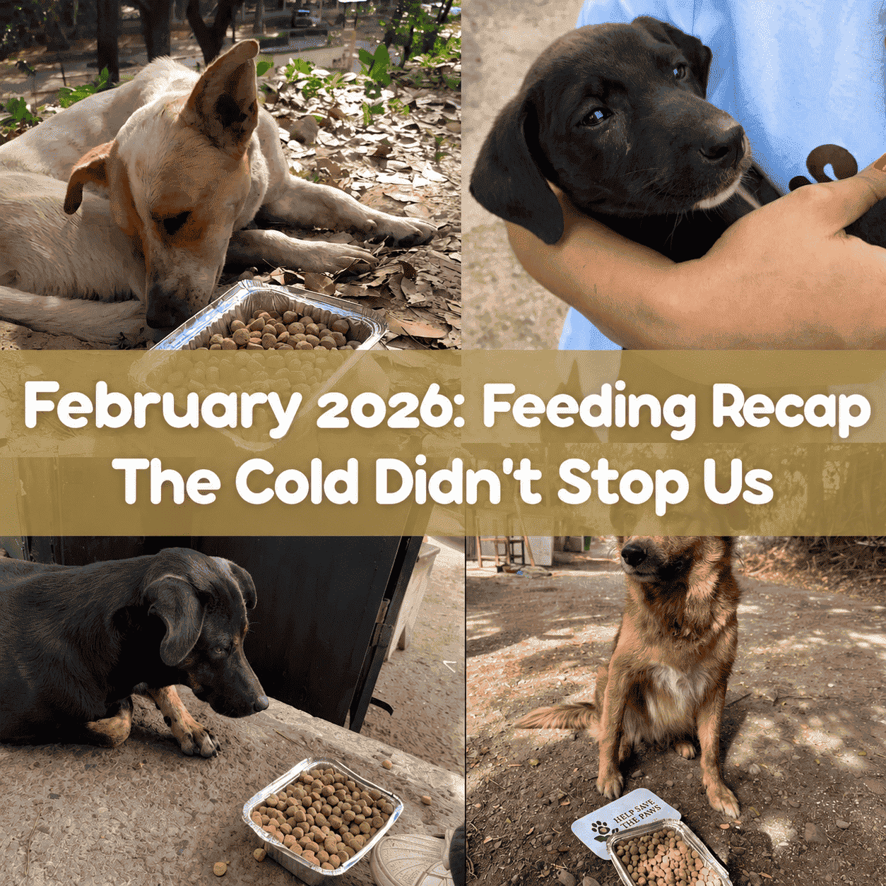 February Feeding Recap 2026