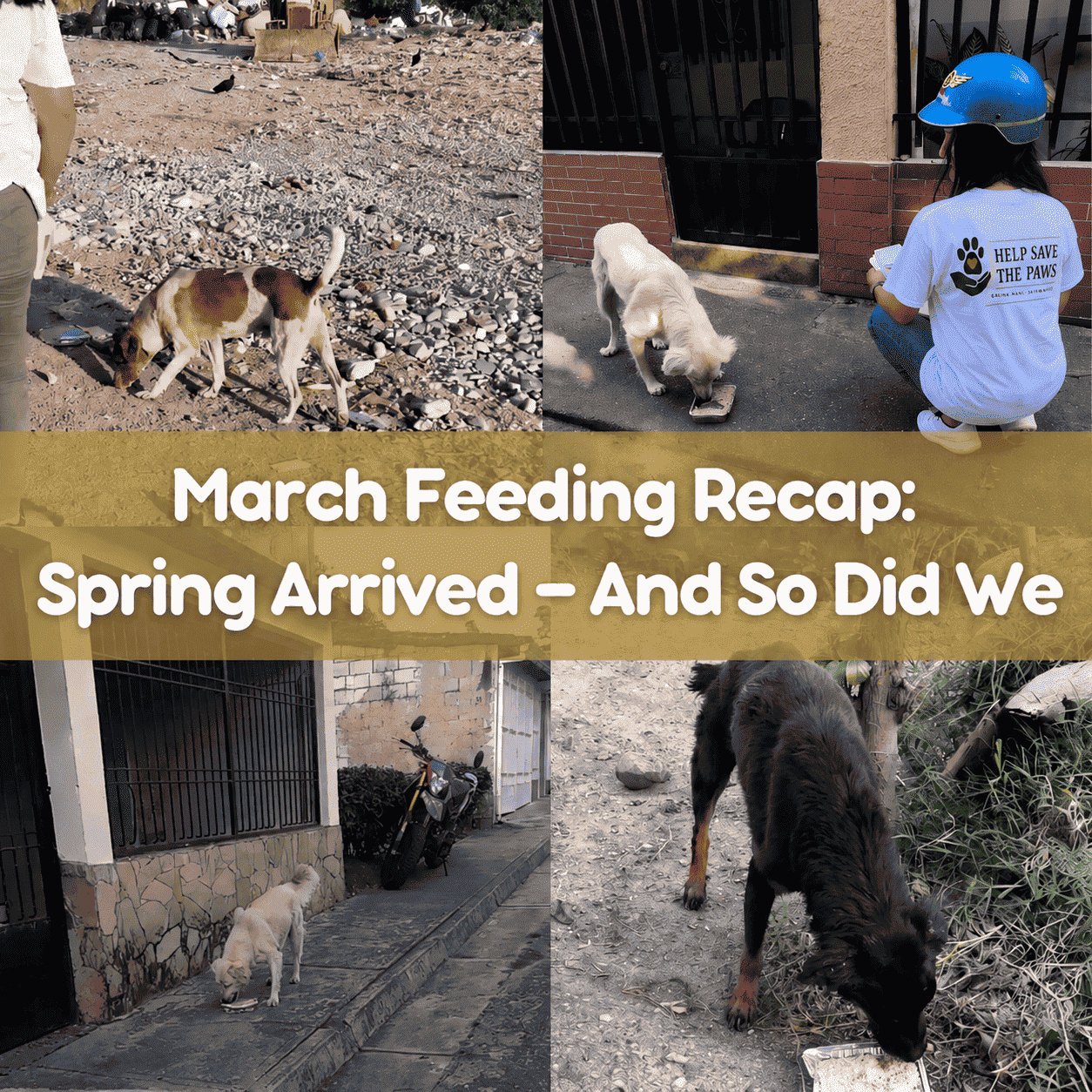 March Feeding Recap: Spring Arrived — And So Did We