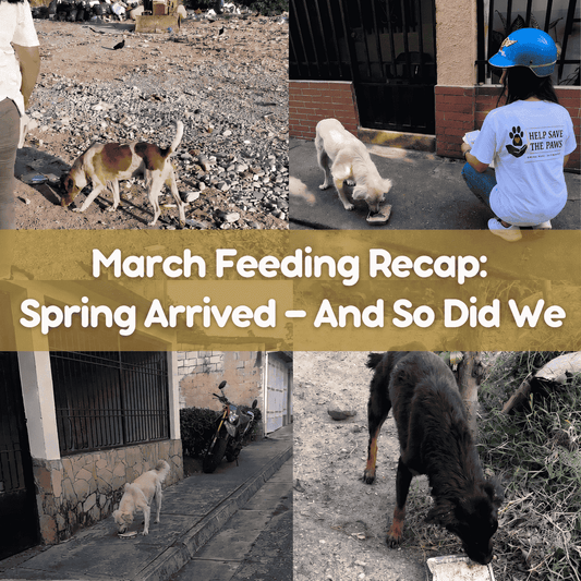 March Feeding Recap: Spring Arrived — And So Did We
