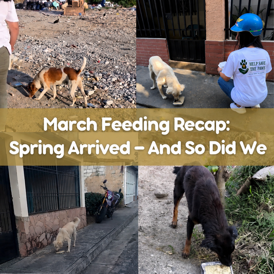 March Feeding Recap: Spring Arrived — And So Did We