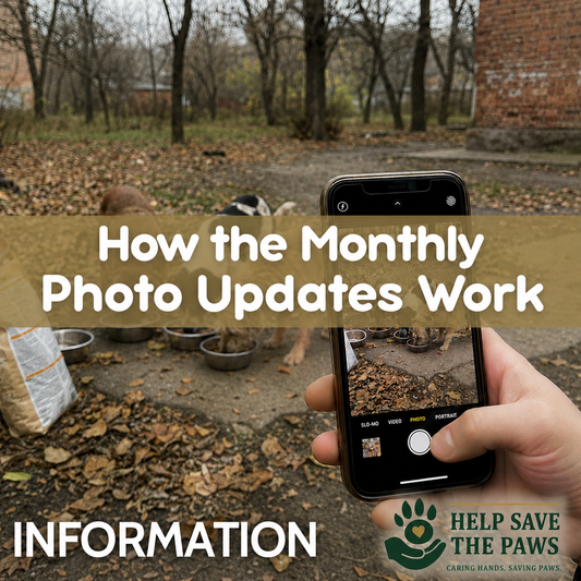 How the Monthly Photo Updates Work