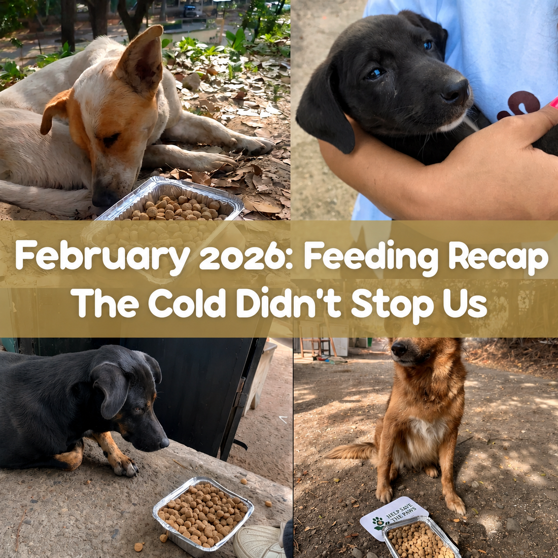 February Feeding Recap 2026