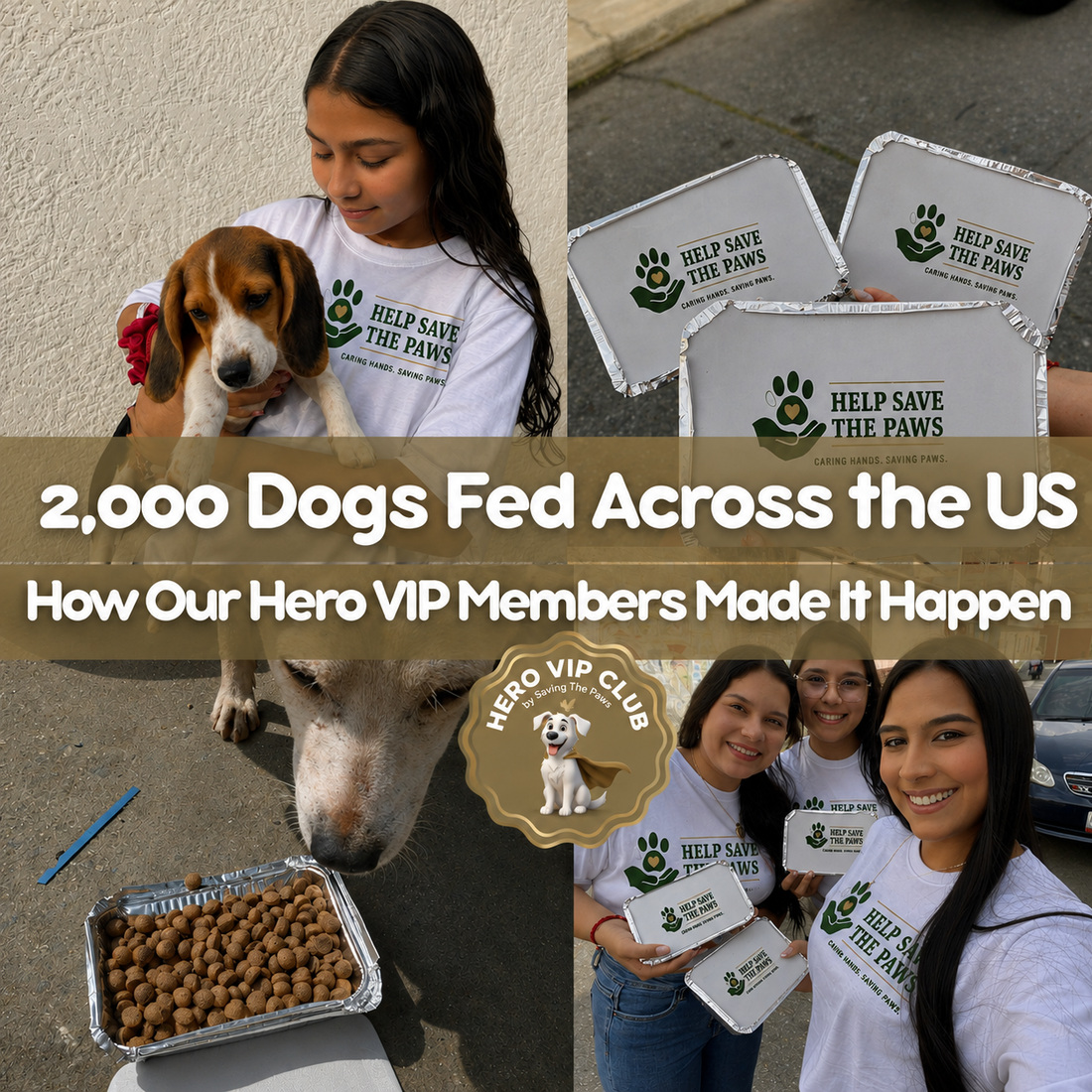 2,000 Dogs Fed Across the US: How Our Hero VIP Members Made It Happen