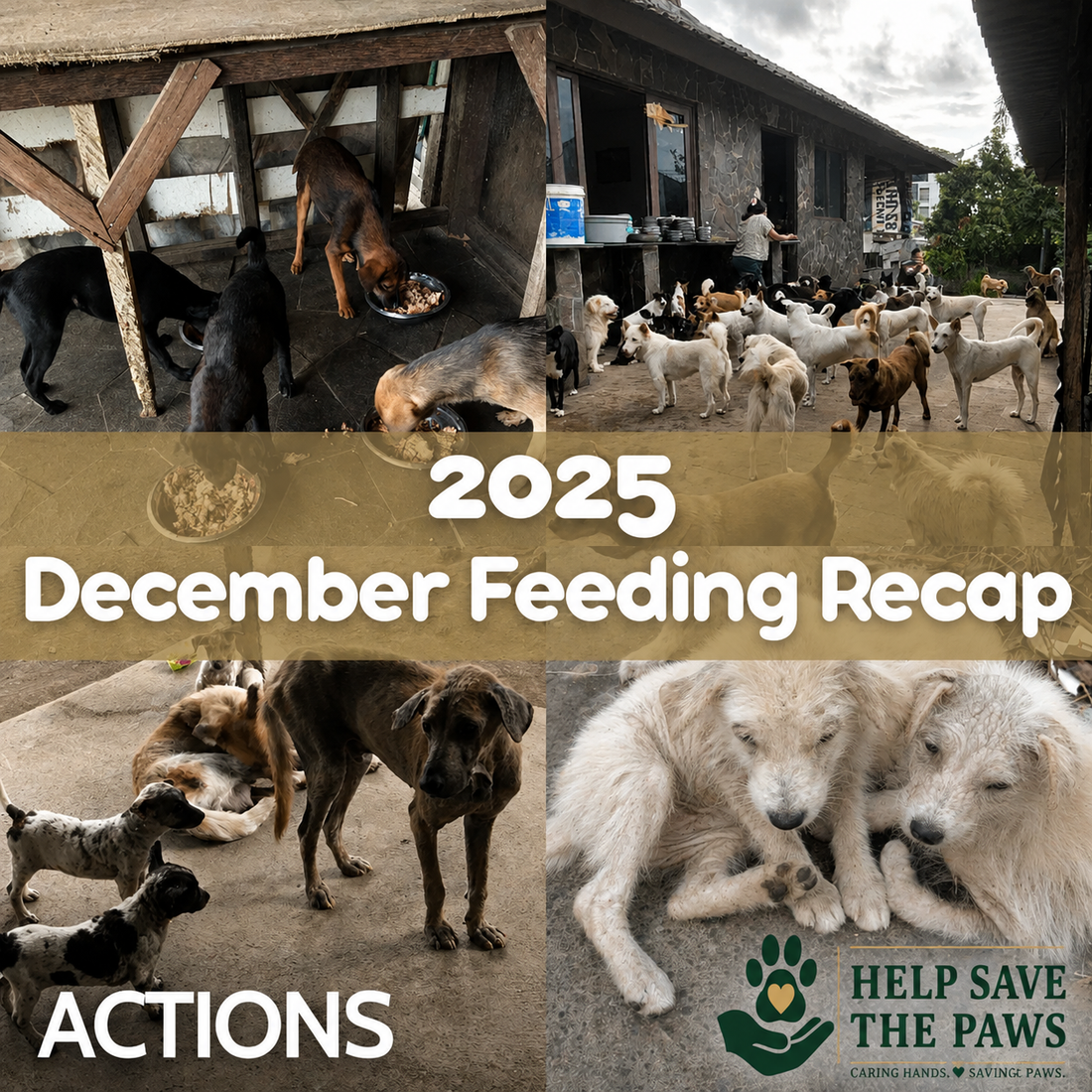 December 2025 Feeding Recap
