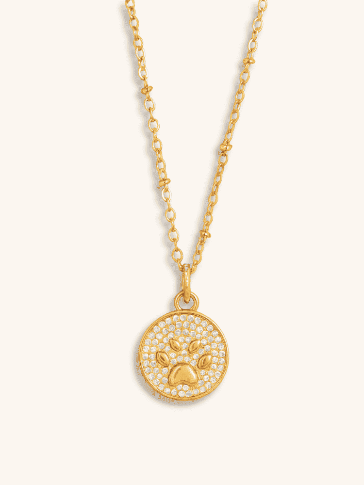 Furever Shine Pendant Necklace