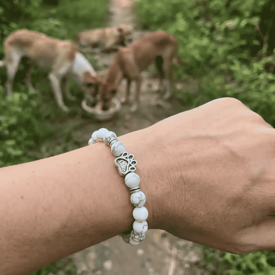 Free Arctic Bracelet