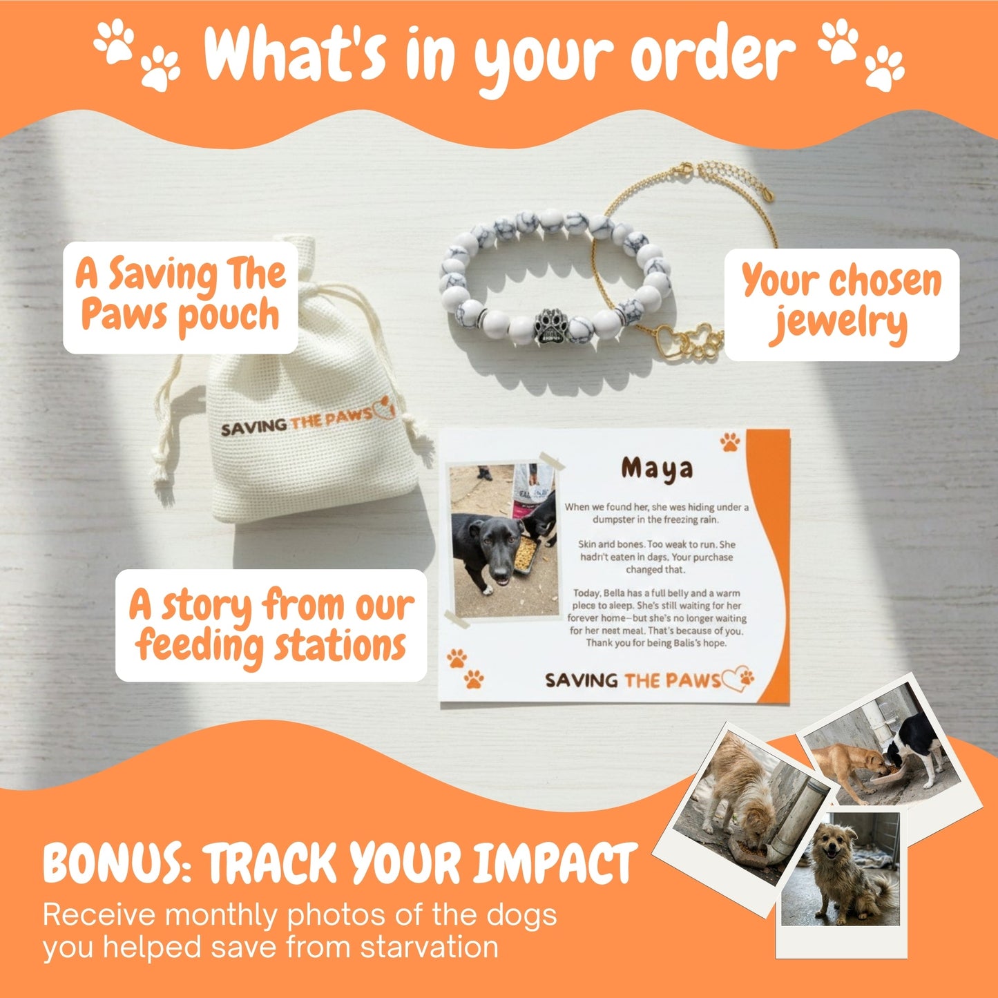Paws Trio Bundle