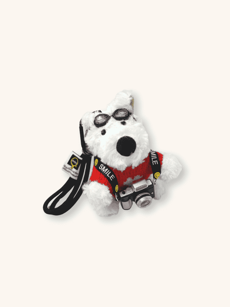 Paparazzi Snowy Charm