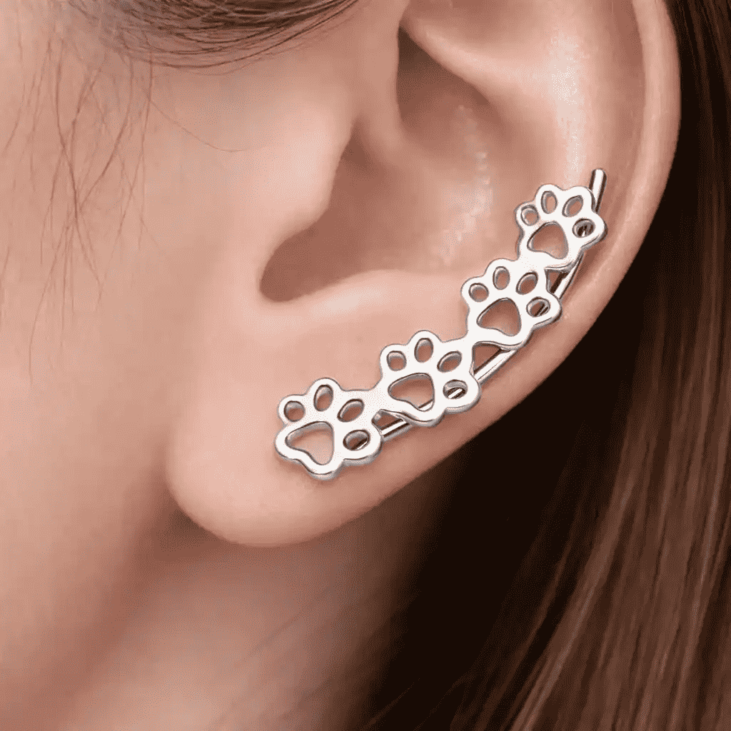 925 Sterling Silver Four Paws earrings