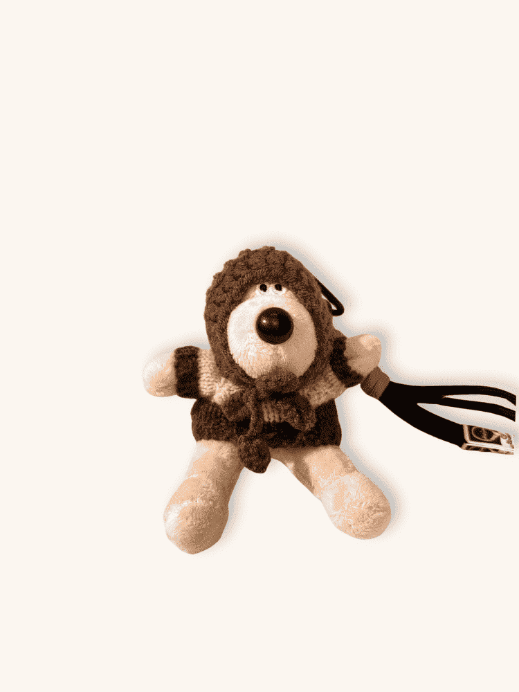 Cozy Hoodie Charm