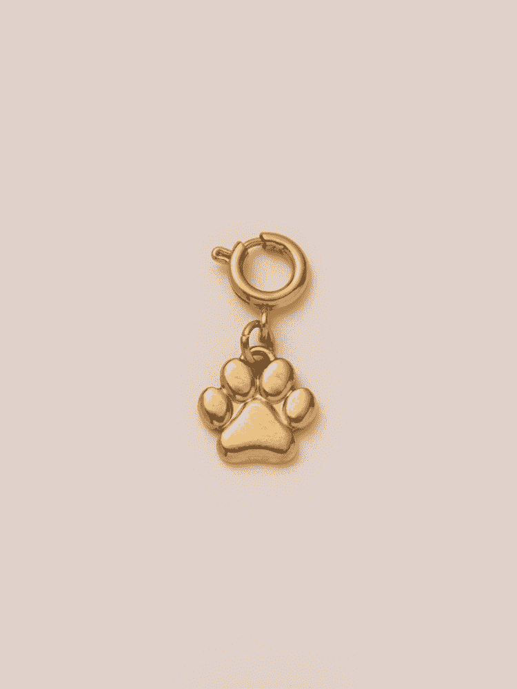 Lucky Steps Charm VIP