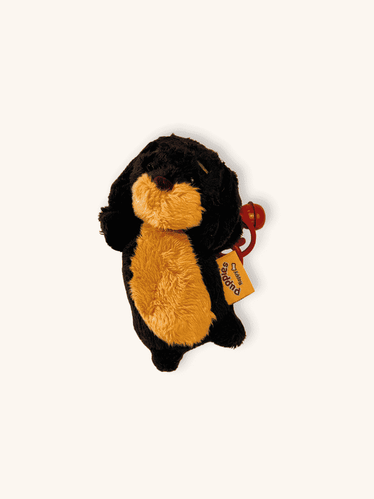 Midnight Pup Charm