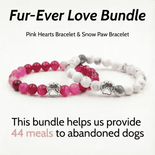 Fur-Ever Love Bundle