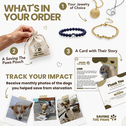 Gold-Plated Necklace with Paw Charm