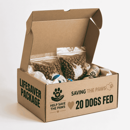Urgent! Be the Lifeline for Millions of Abandoned Dogs Starving This Winter