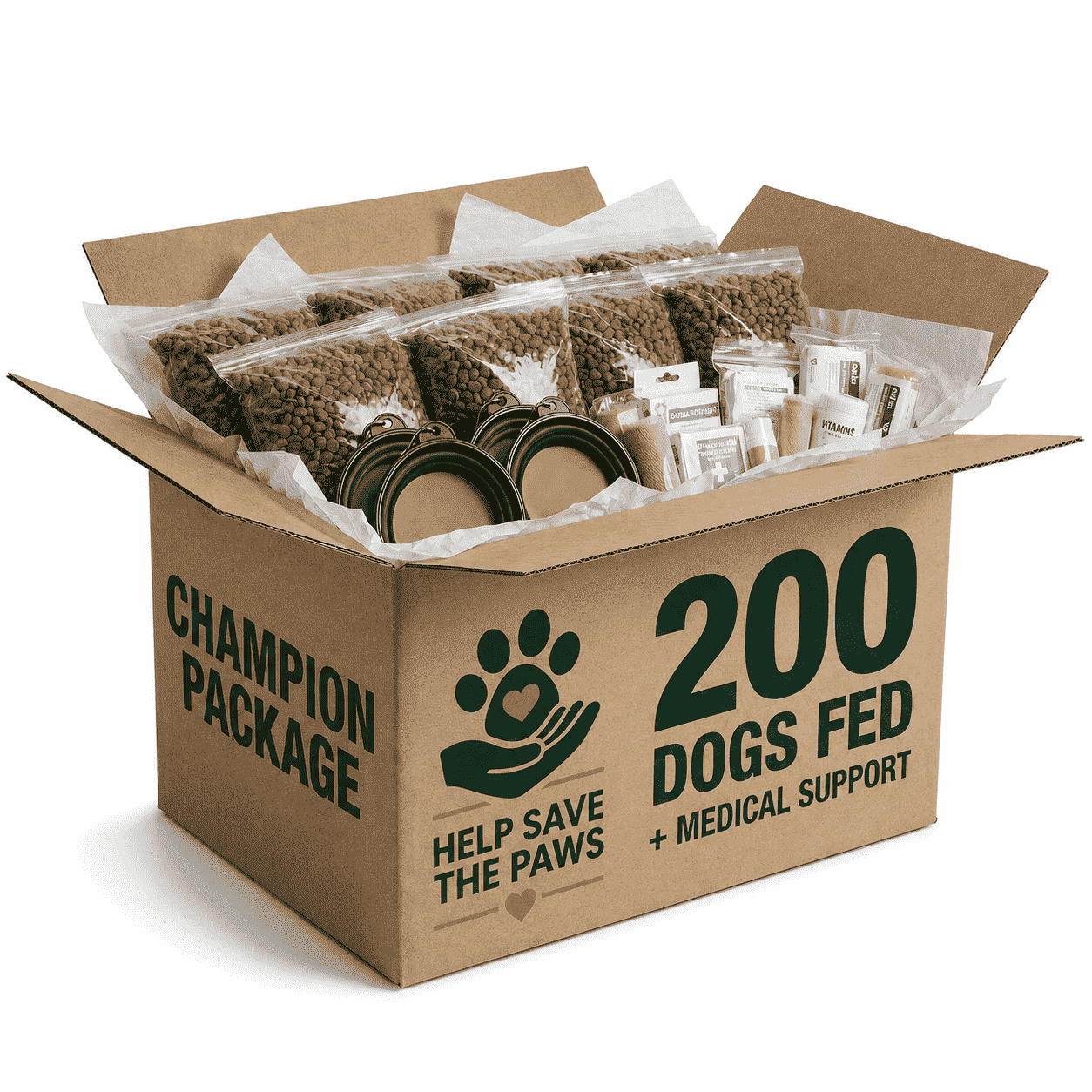 Urgent! Be the Lifeline for Millions of Abandoned Dogs Starving This Winter