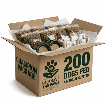 Urgent! Be the Lifeline for Millions of Abandoned Dogs Starving This Winter